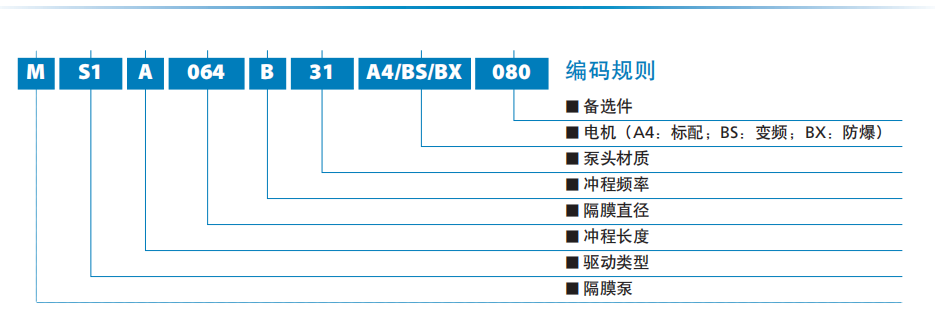 1614669067819753.png MS1-5.png